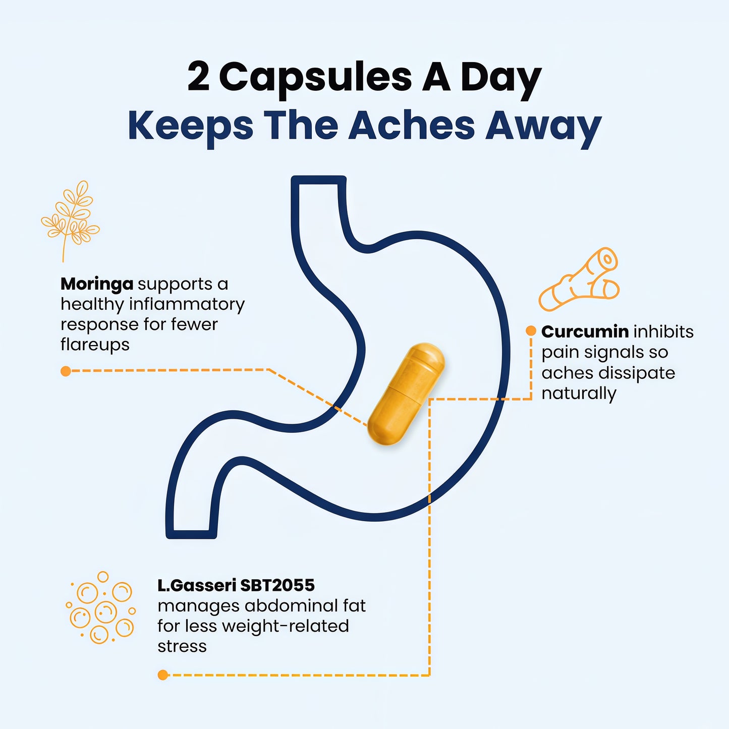 Provitalize | Best Natural Menopause Probiotic