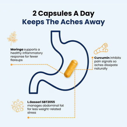 Provitalize | Best Natural Menopause Probiotic